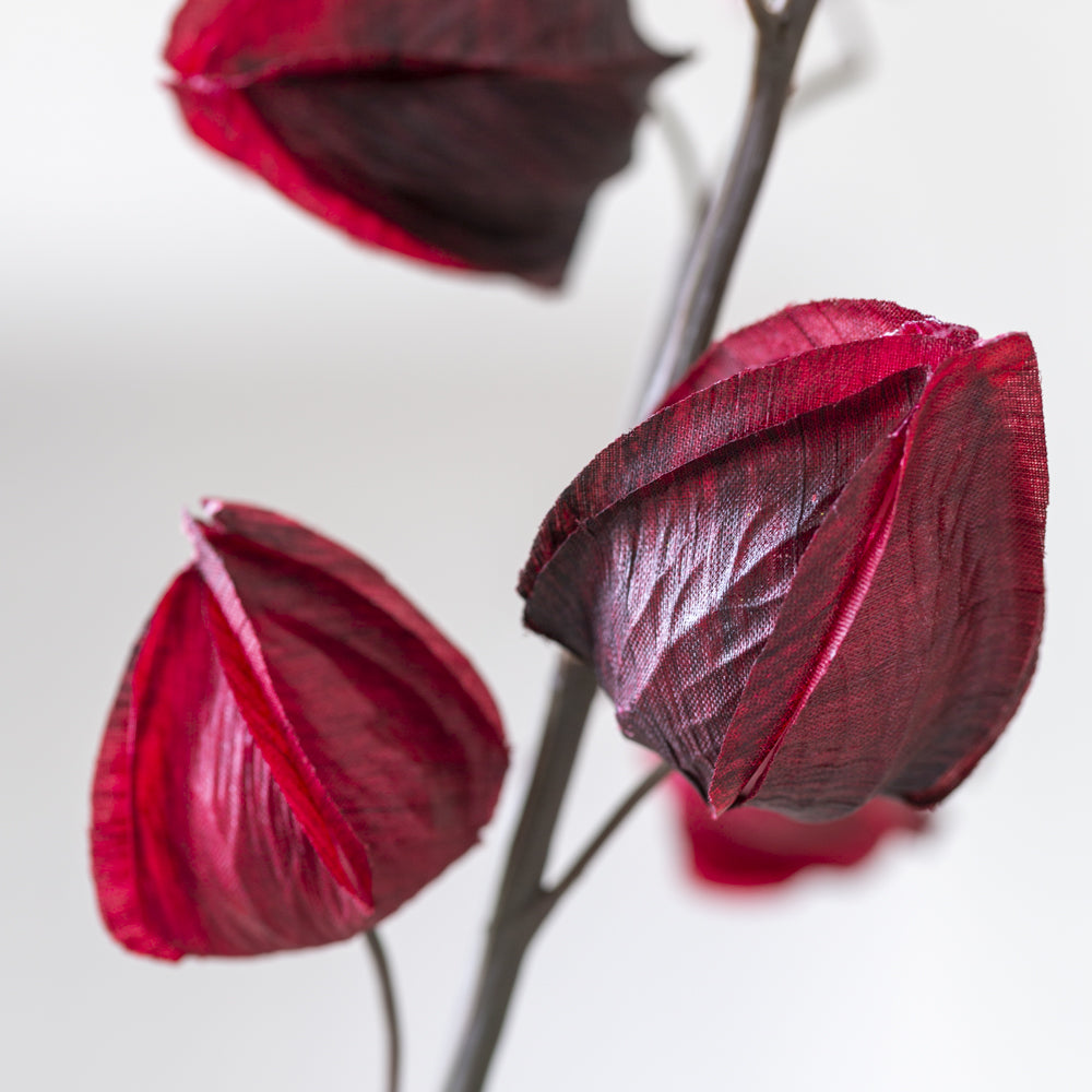 Wine Chinese Lantern