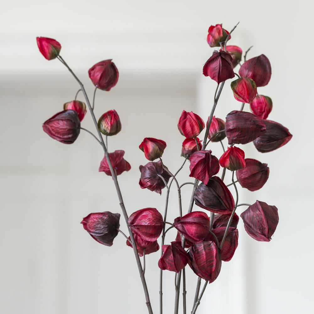 Wine Chinese Lantern