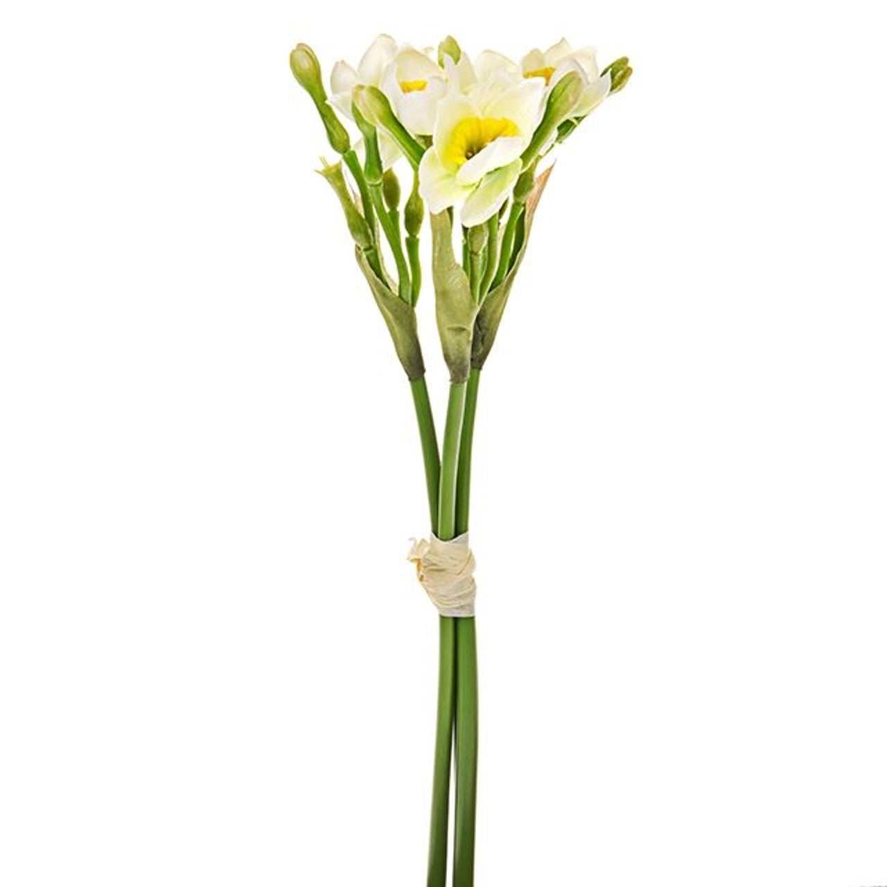 Narcissi and Bud Bundle Cream 32cm