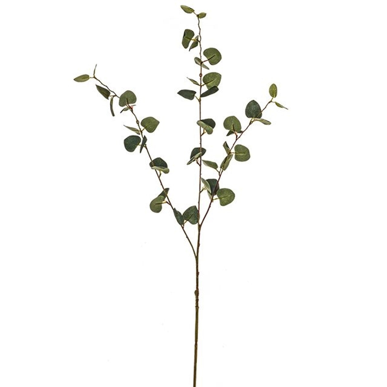 Green Eucalyptus Spray