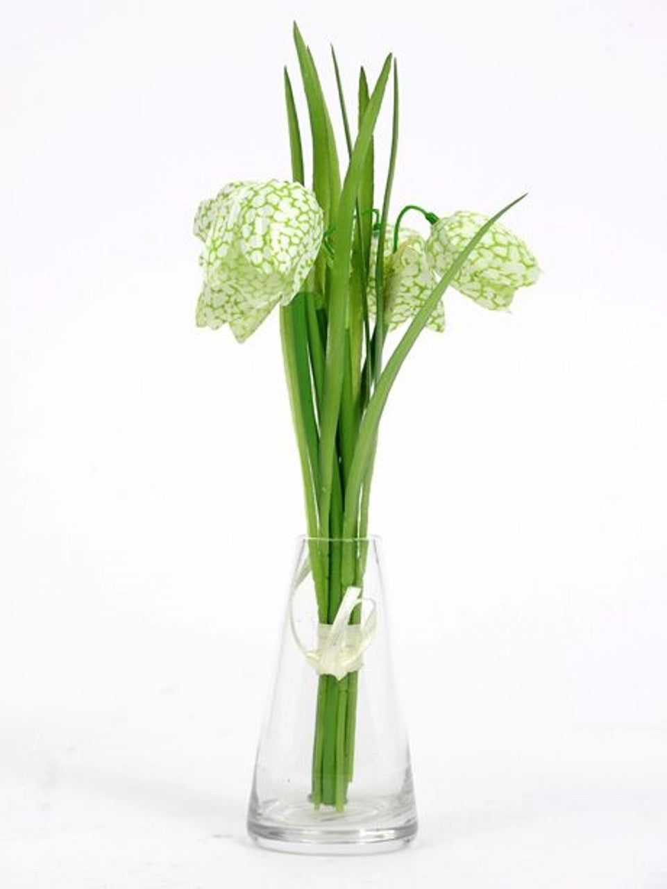 Fritillaria White Posy
