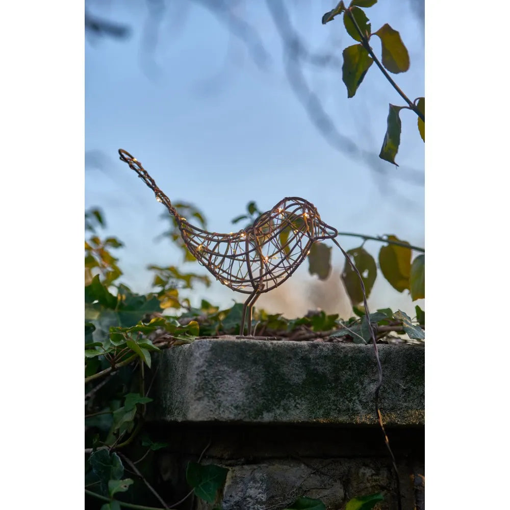 Hanging Robin Light