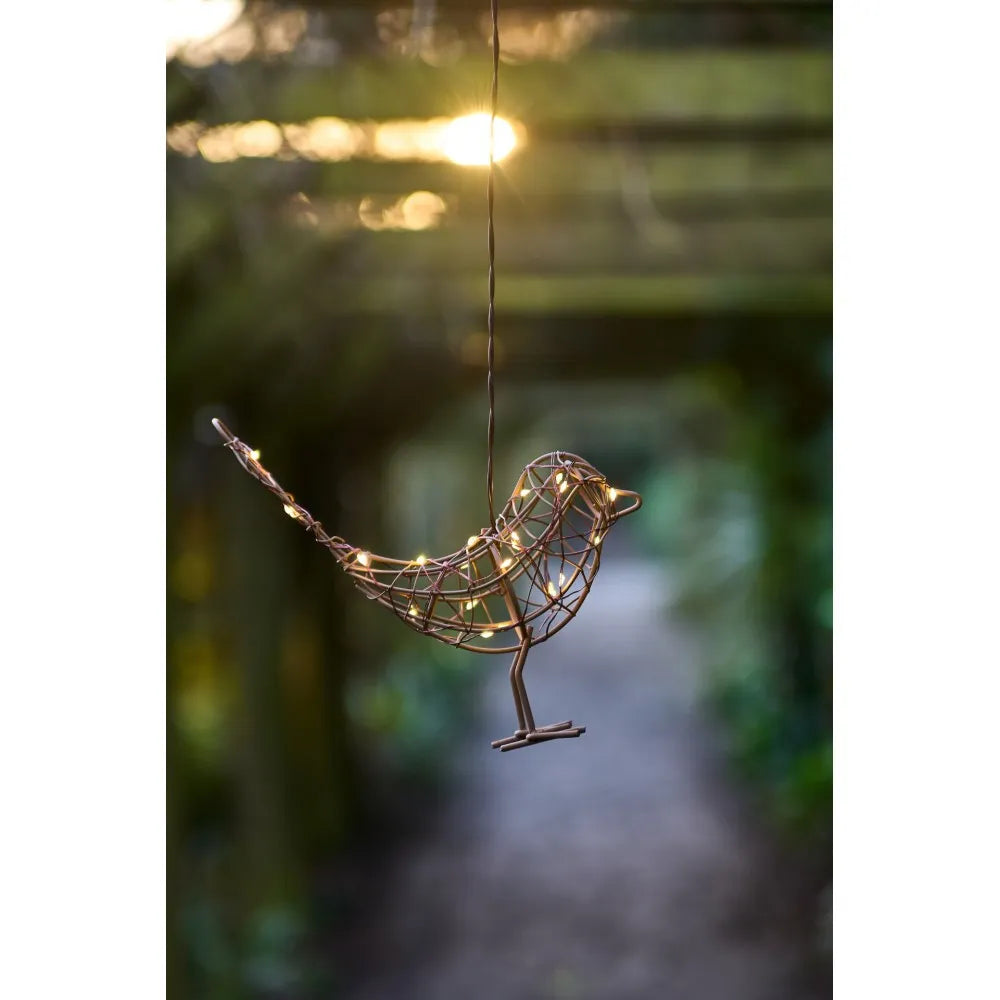 Hanging Robin Light