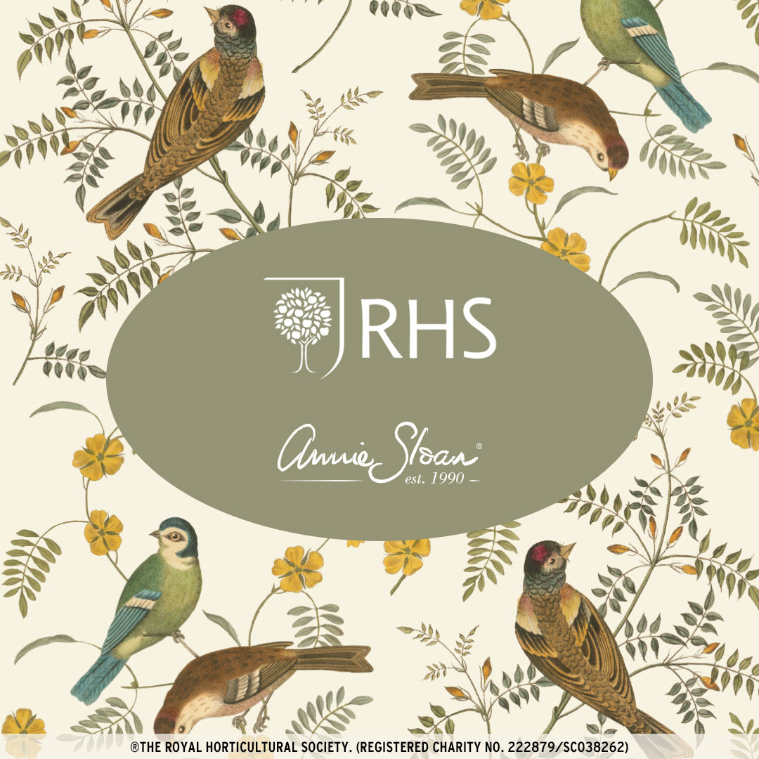 Songbird Decoupage Paper