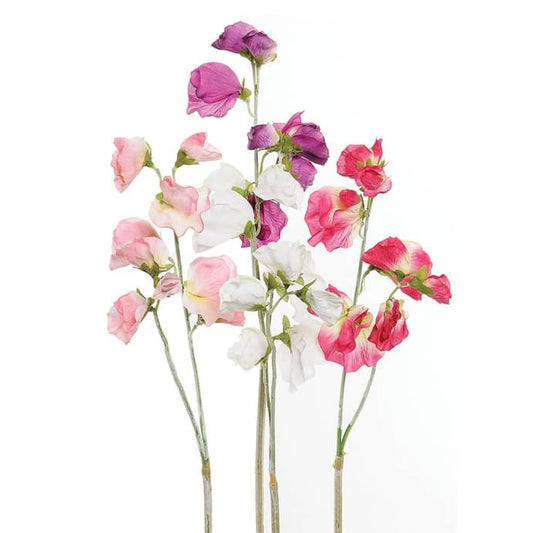 Sweetpeas Bunch