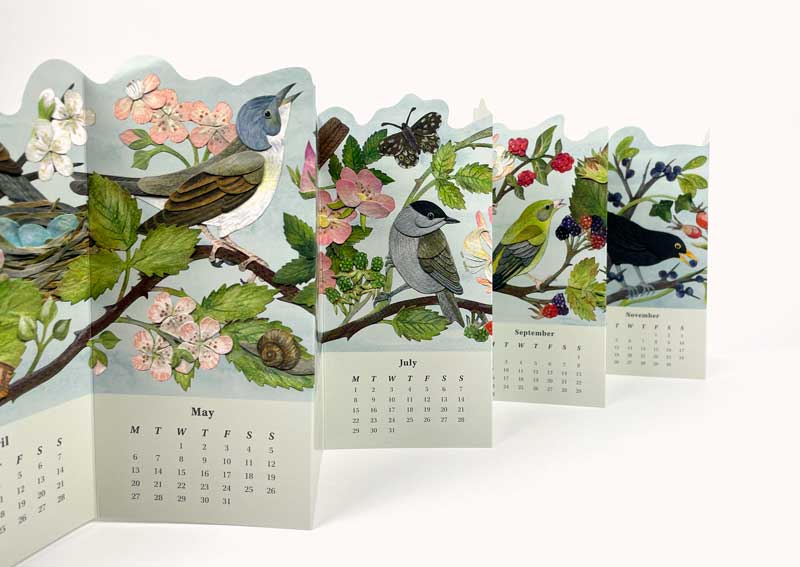 Alice Melvin Hedgerow Birds Calendar 2024