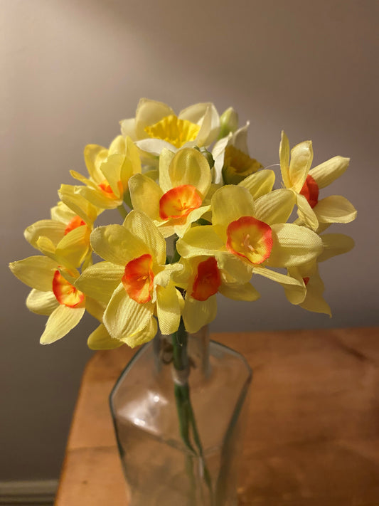 Daffodil Posy
