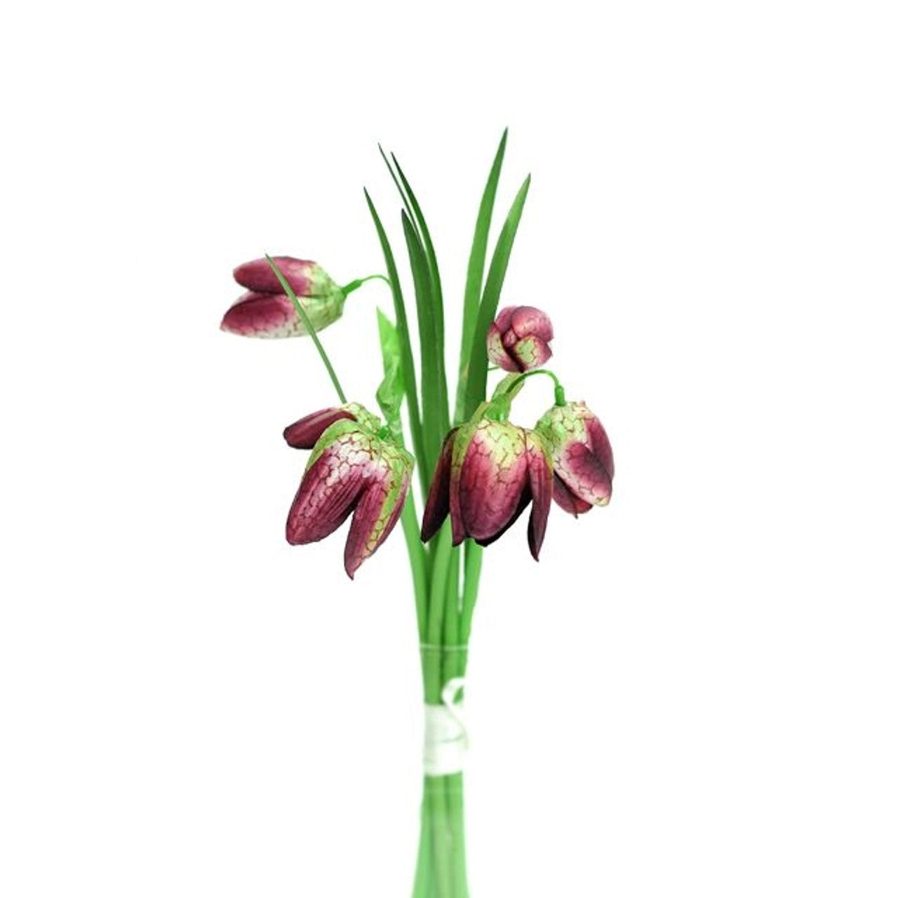 Fritillaria Purple Posy