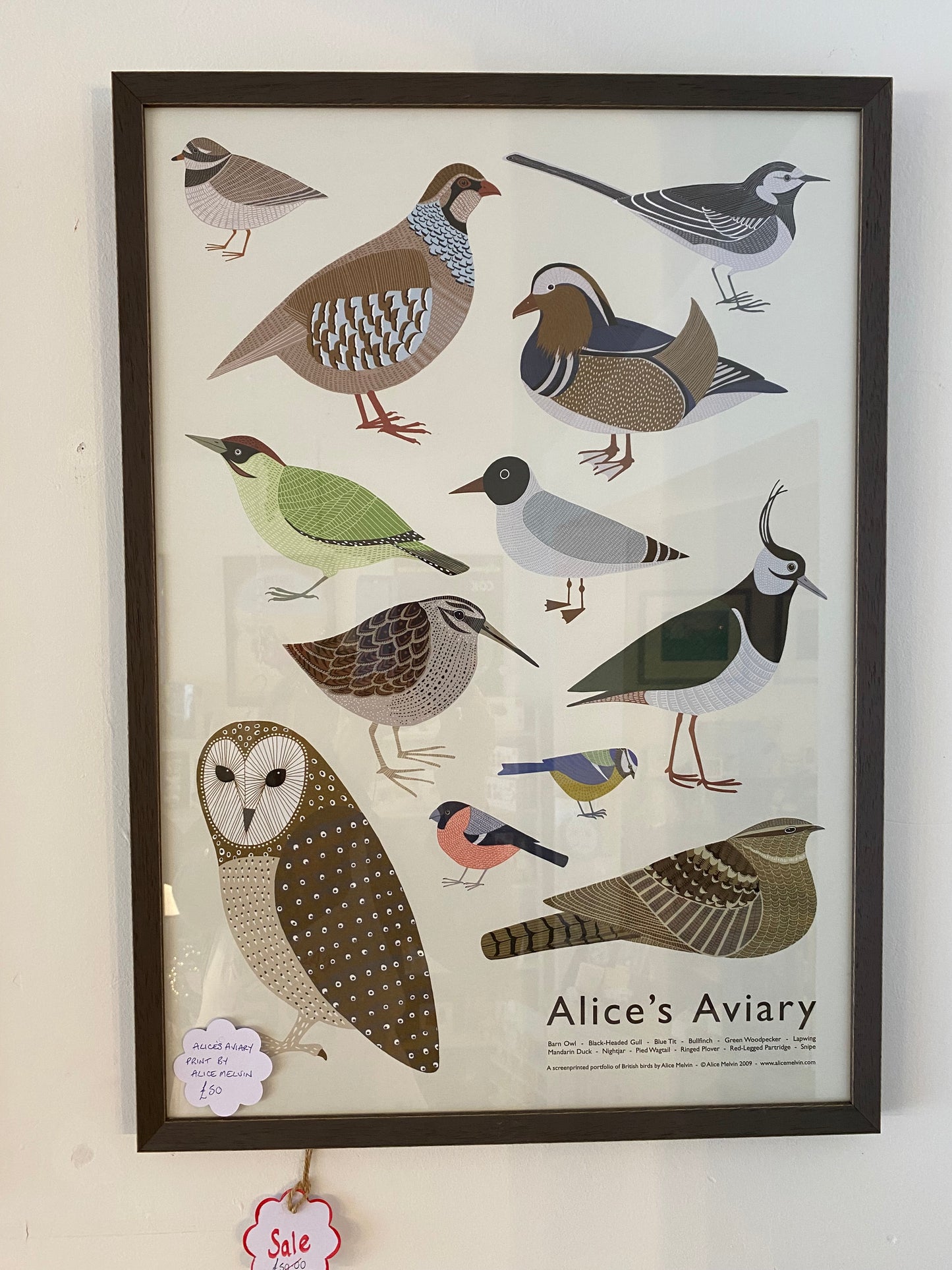 Alice's Aviary Framed Print