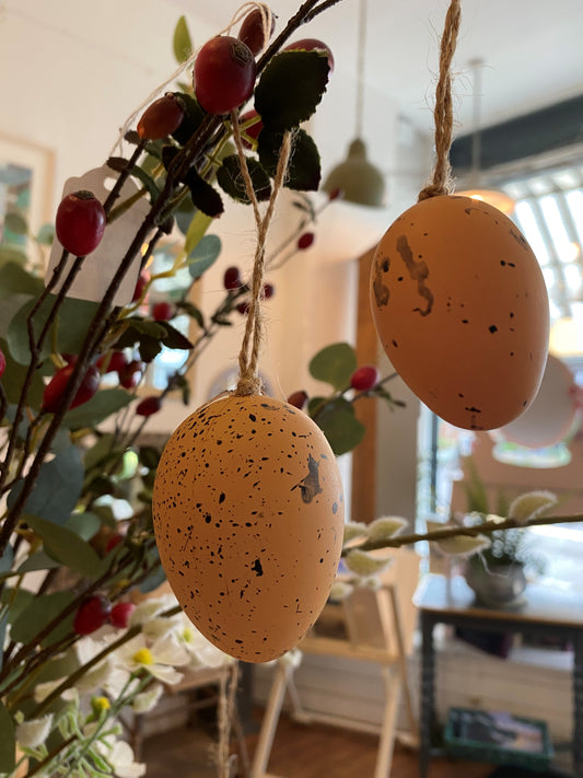 Natural Egg Hanging Decorations