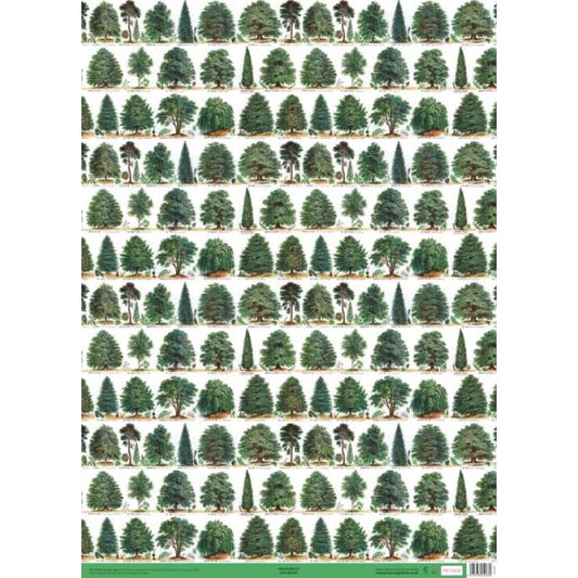 Our British Forest Trees Gift Wrap
